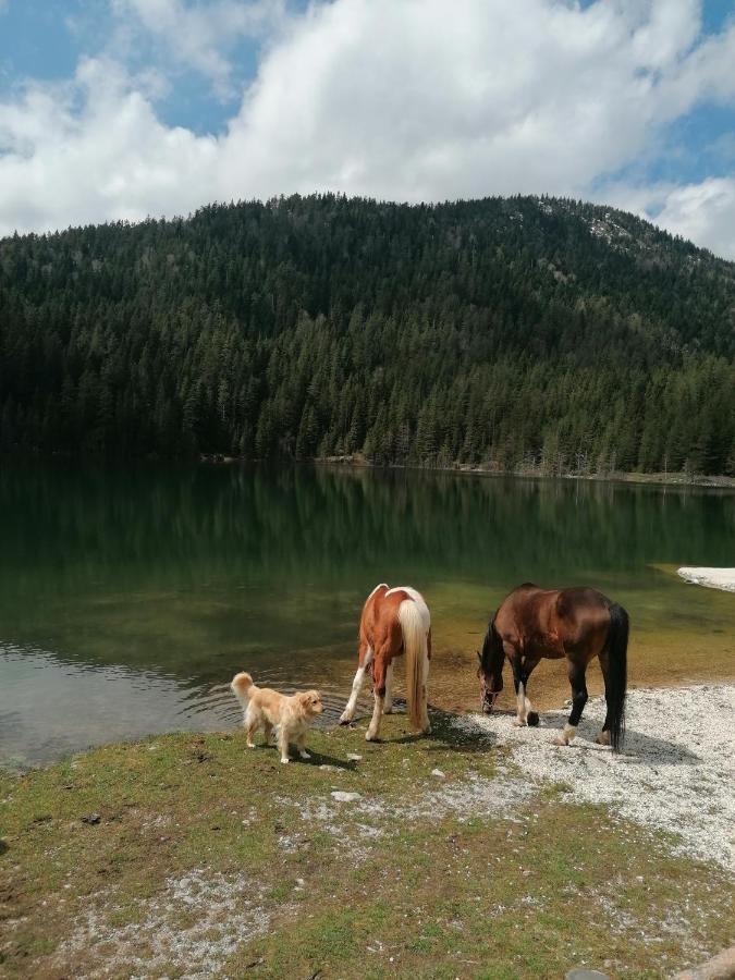 Zabljak_Vikendica Bagian luar foto